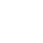 Help Desk Support

